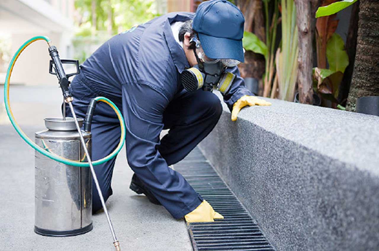 Mersin Çamlıyayla İlaçlama 